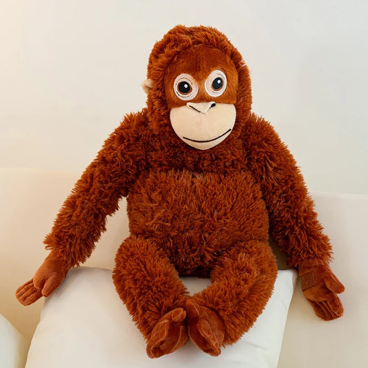 Your Favorite monkey